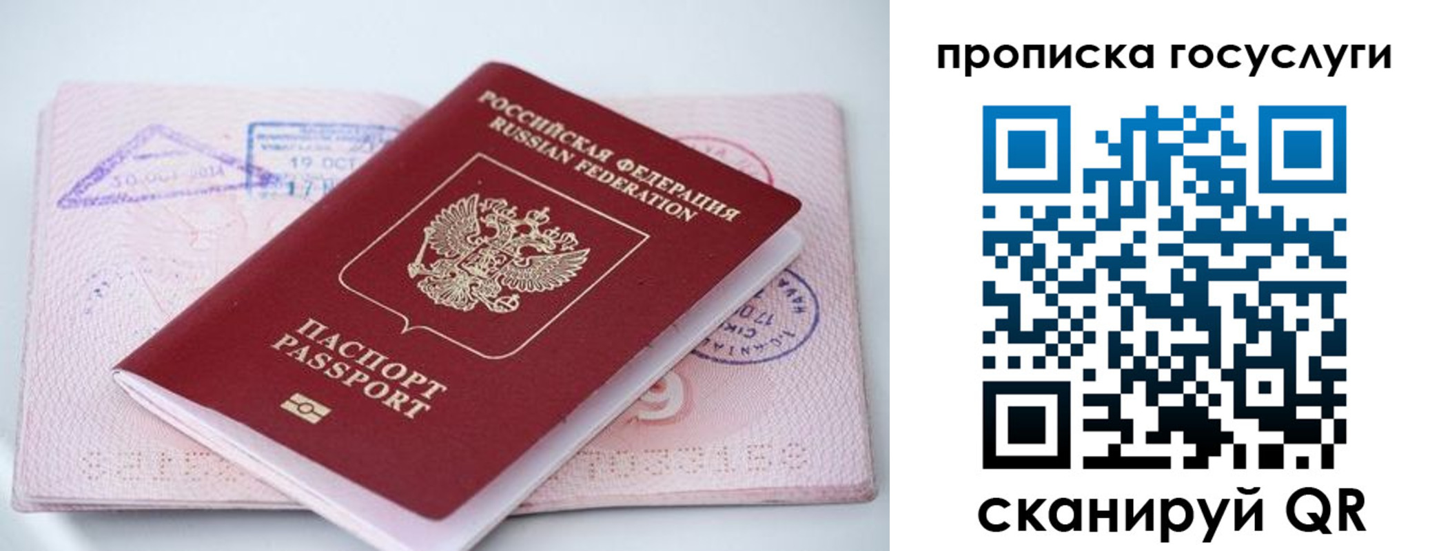 прописка законно в Вологде